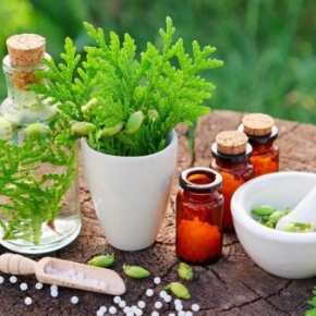 تصویر برای دسته  تولیدات دام، طیور، آبزیان، زنبور عسل 