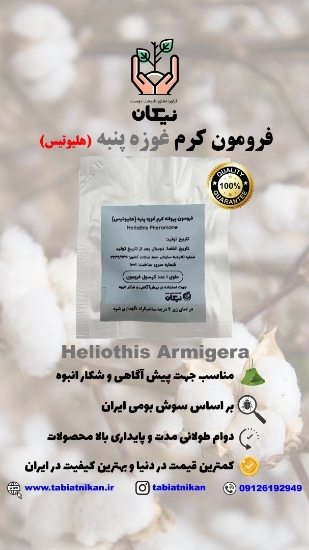 فرومون کرم غوزه پنبه