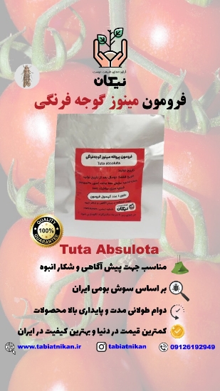 فرومون توتا ابسلوتا