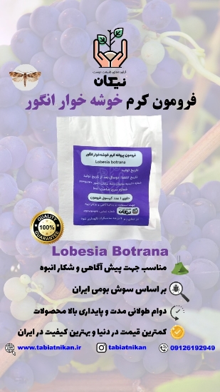 فرومون لوبزیا