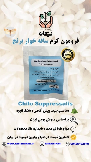 فرومون کرم ساقه خوار برنج
