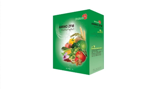 تصویر  آمینو ZFM