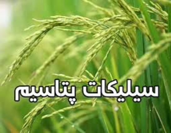 تصویر  کود سیلیکات پتاسیم 