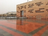 تصویر  سنگ فرش، موزاییک، کف فرش طرح نازنین 