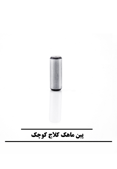 تصویر  پین ماهک کلاج کوچک