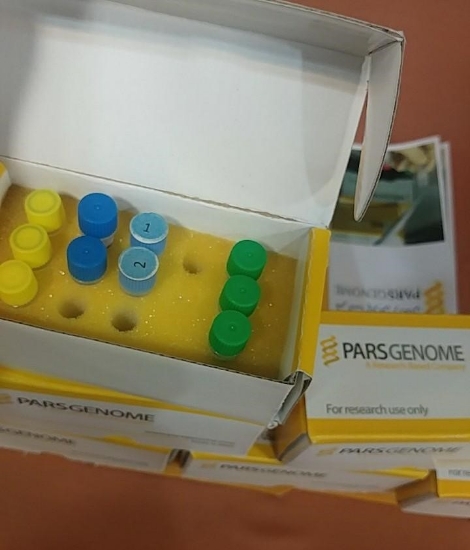 تصویر  کیت تکثیر، RealTime، پرایمر microRNA