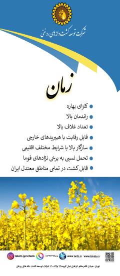 تصویر  بذر کلزا زمان