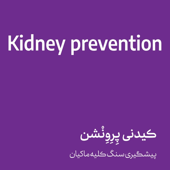 تصویر  کیدنی پرونشن - kidney prevention