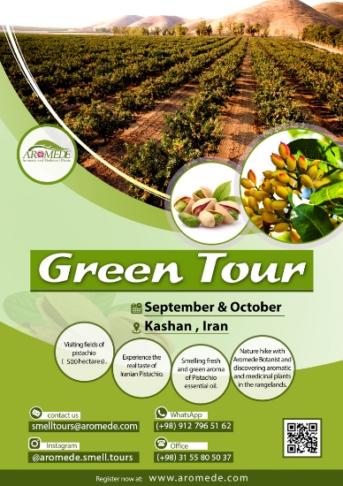 تصویر  سفر سبز (Green tour) - گردشگری تخصصی گیاهان دارویی و معطر با محوریت پسته