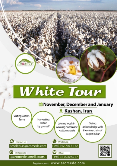 تصویر  سفر سفید (white tour) - گردشگری تخصصی گیاهان دارویی و معطر با محوریت گیاه پنبه
