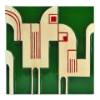 Rooster